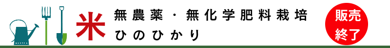 無農薬無化学肥料栽培ひのひかり