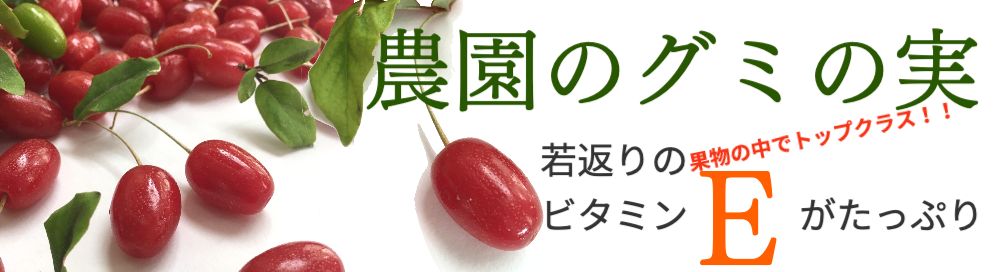 栽培期間中農薬・化学肥料無使用！早生いちじくザキング