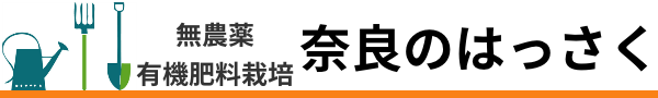 無農薬無化学肥料栽培はっさく