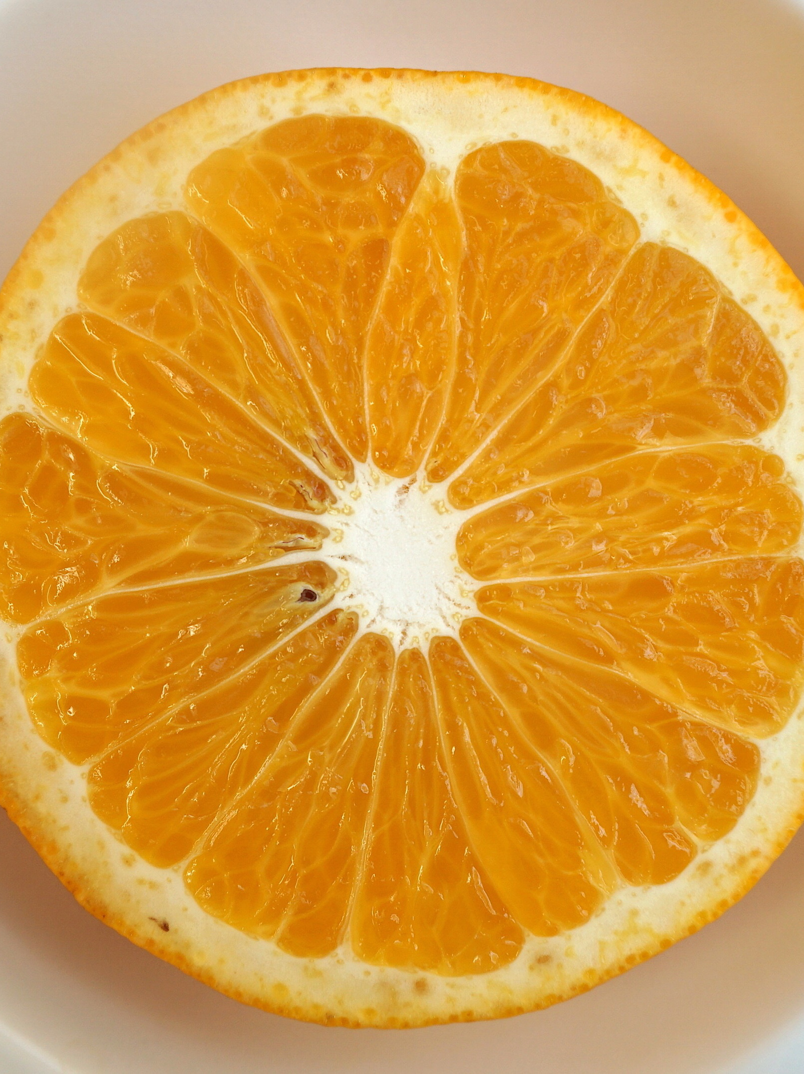 無農薬無化学肥料栽培はっさく